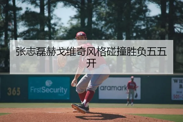 张志磊赫戈维奇风格碰撞胜负五五开
